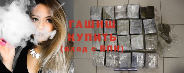 индика Алзамай